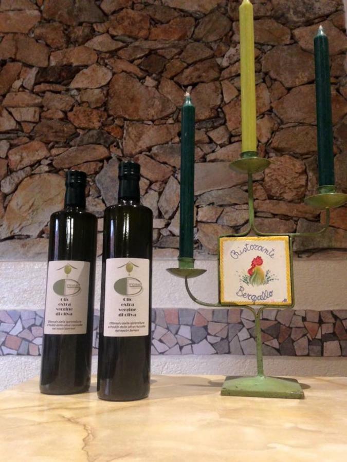 Albergo Ristorante Bergallo Tovo San Giacomo Εξωτερικό φωτογραφία